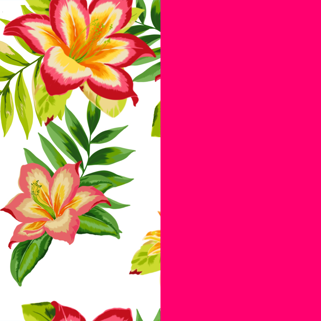 hibiscus