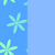 Aster